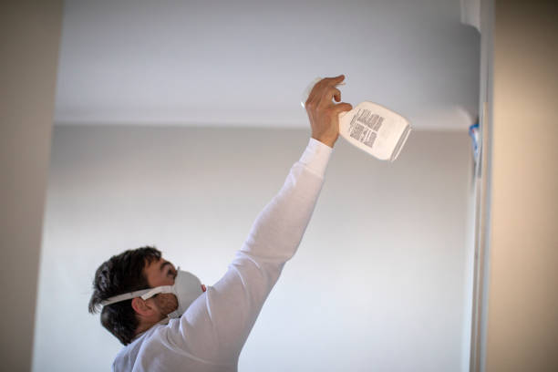 Best Mold Damage Repair  in Val Verde Park, TX