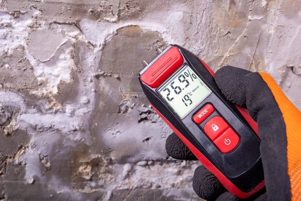 Best Best Mold Removal Companies  in Val Verde Park, TX