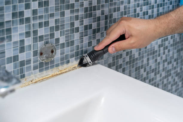 Best Toxic Mold Removal  in Val Verde Park, TX
