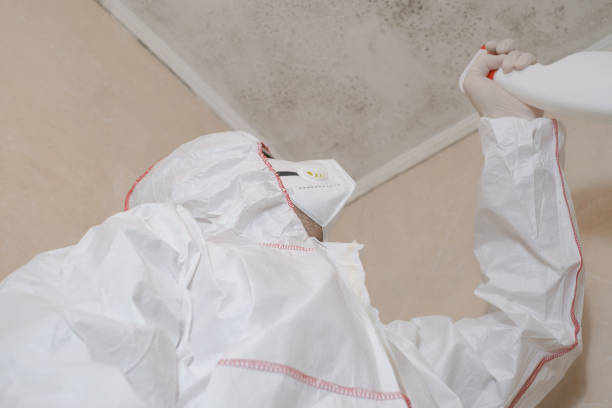 Crawl Space Mold Removal in Val Verde Park, TX