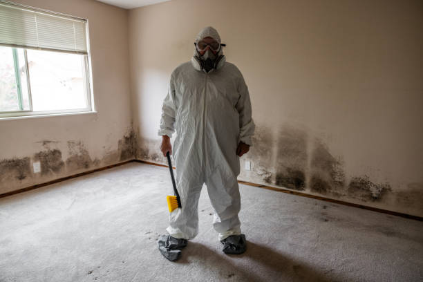 Best Certified Mold Removal  in Val Verde Park, TX